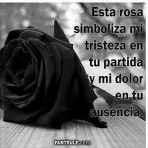 Meet your Posher, Mimi